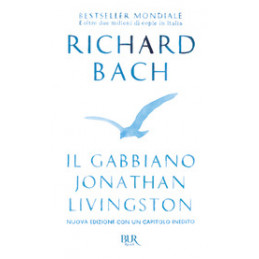 il-gabbiano-jonathan-livingston