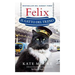 felix-the-railay-cat