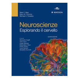 neuroscienze-esplorando-il-cervello