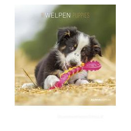 calendario-da-muro-30x30-cm-puppies-2021