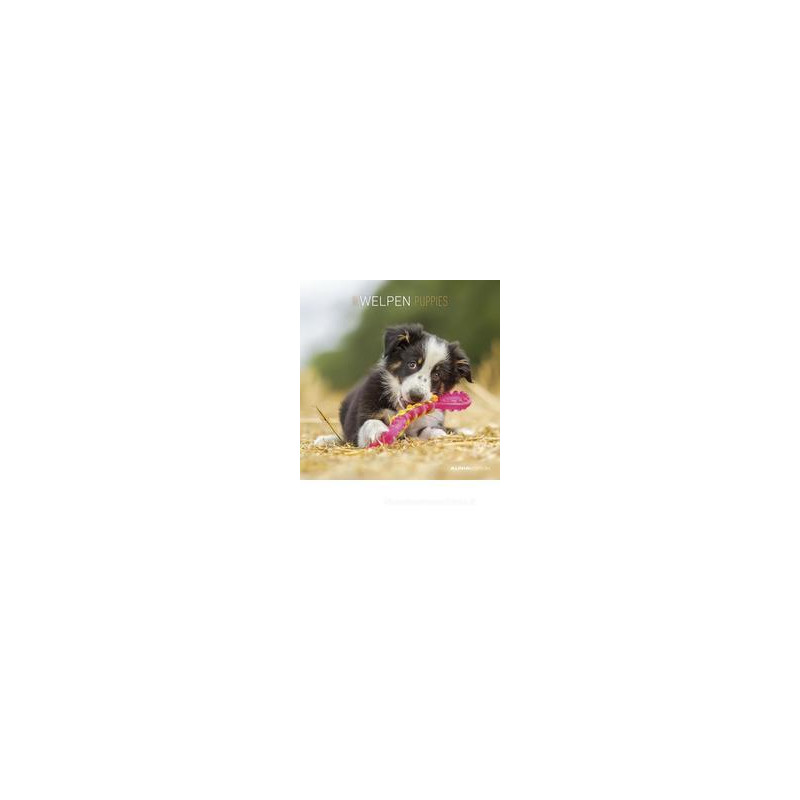 calendario-da-muro-30x30-cm-puppies-2021