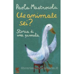 che-animale-sei