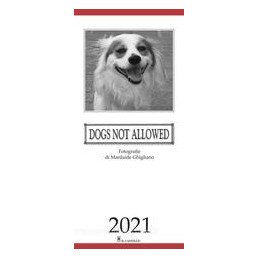 calendario-dogs-not-alloed-2021