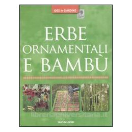 erbe-ornamentali-e-bambu