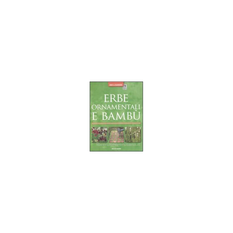 erbe-ornamentali-e-bambu