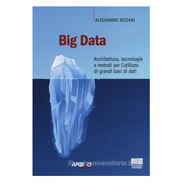 big-data-architettura-tecnologie-e-metodi-per-lutilizzo-di-grandi-basi-di-dati