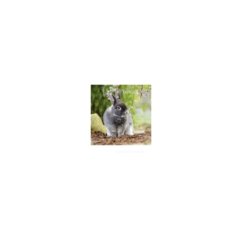 calendario-da-muro-30x30-cm-rabbits-2021