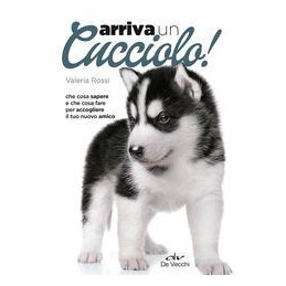 arriva-un-cucciolo