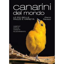 canarini-del-mondo