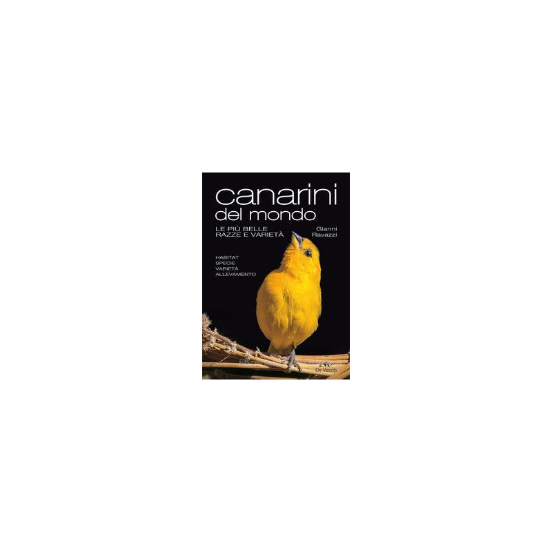 canarini-del-mondo