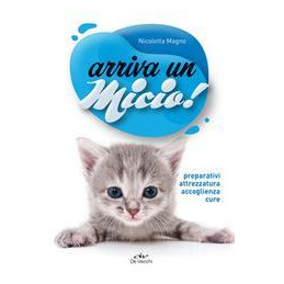 arriva-un-micio-preparativi-attrezzatura-accoglienza-consigli-cure