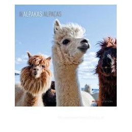 calendario-da-muro-30x30-cm-alpacas-2021