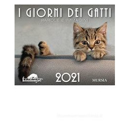 i-giorni-dei-gatti-2021