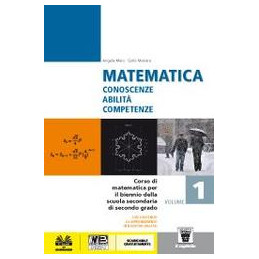matematica-1--libro-digitale--vol-1