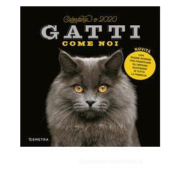 gatti-calendario-2020