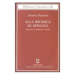 alla-ricerca-di-spinoza