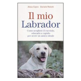 mio-labrador