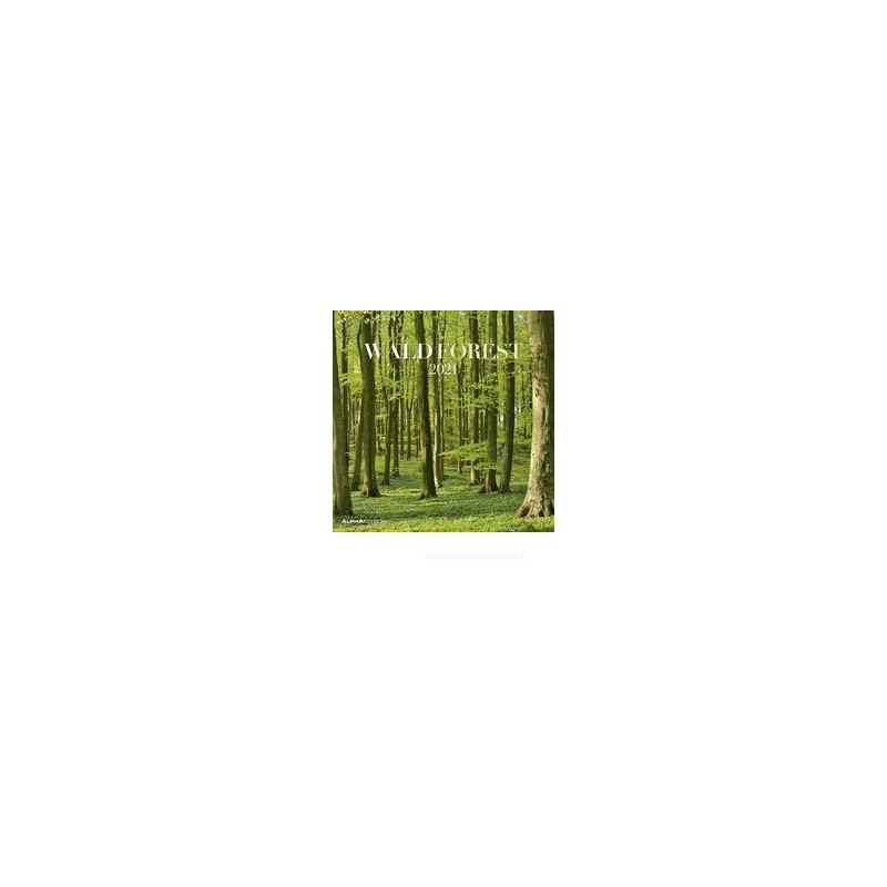 calendario-da-muro-30x30-cm-forest-2021