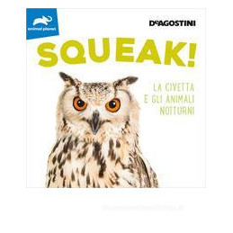 squeak-la-civetta-e-gli-animali-notturni