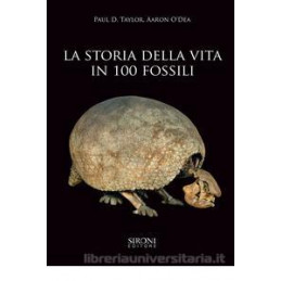 storia-della-vita-in-100-fossili-la