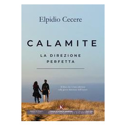 calamite-la-direzione-perfetta