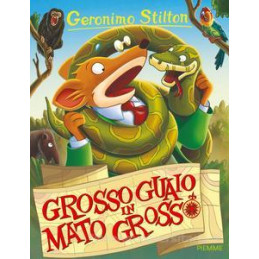 grosso-guaio-in-mato-grosso