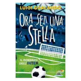 ora-sei-una-stella-il-romanzo-dellinter