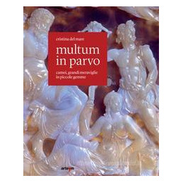 multum-in-parvo