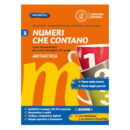 numeri-che-contano-vol1-corso-di-matematica-per-la-scuola-secondaria-di-primo-grado-con-tavole-e-f