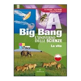 big-bang---luniverso-delle-scienze-volumi-a--b--c--d---libro-digitale-a--b--c--d-vol-u