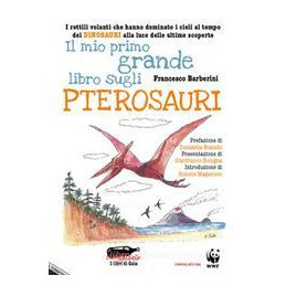 mio-primo-grande-libro-sugli-uccelli-guida-al-riconoscimento-delle-specie-italiane-e-loro-evoluzion