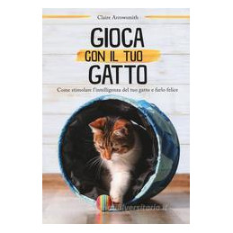 addestra-il-tuo-gatto-con-il-gioco