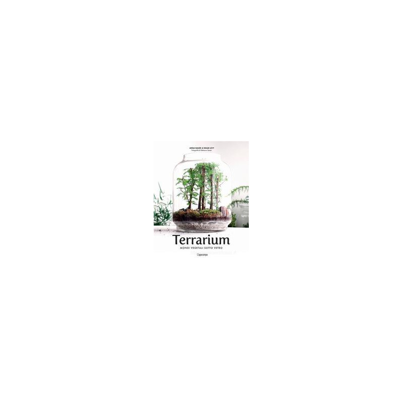 terrarium-mondi-vegetali-sotto-vetro
