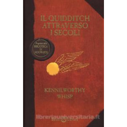 il-quidditch-attraverso-i-secoli