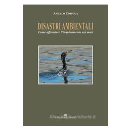 disastri-ambientali