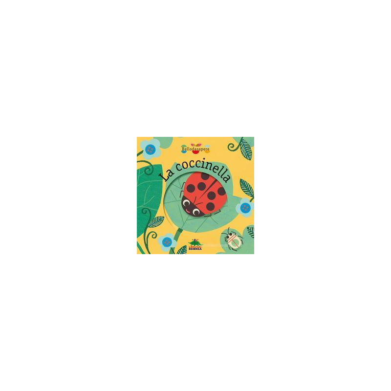 coccinella-la