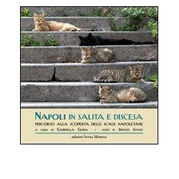 napoli-in-salita-e-discesa-percorso-alla-scoperta-delle-scale-napoletane