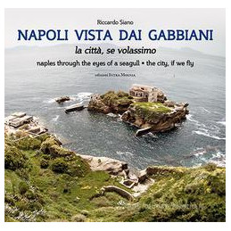 napoli-vista-dai-gabbiani-ita-ing