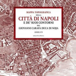 mappa-topografica-della-citt-di-napoli-e-de-suoi-contorni-del-giovanni-carafa-duca-di-noja-anno-1