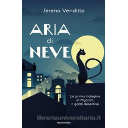 aria-di-neve