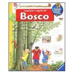 scopriamo-i-segreti-del-bosco