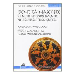 identita-nascoste-scene-di-riconoscimento-nella-tragedia-greca-percorsi-didattici-della-tragedia-g