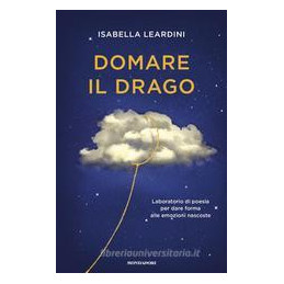 domare-il-drago-il-potere-terapeutico-della-poesia