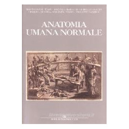 anatomia-umana-normale