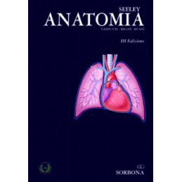 anatomia