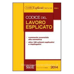 codice-del-lavoro-esplicato-ediz-minore