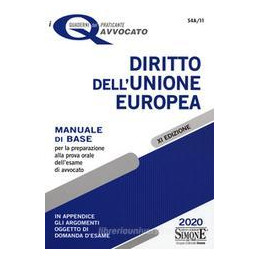 diritto-dellunione-europea