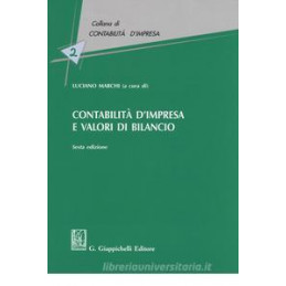 contabilit-dimpresa-e-valori-bilancio