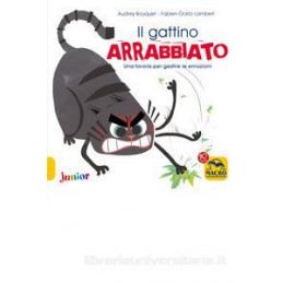 gattino-arrabbiato