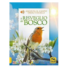 risveglio-del-bosco-il